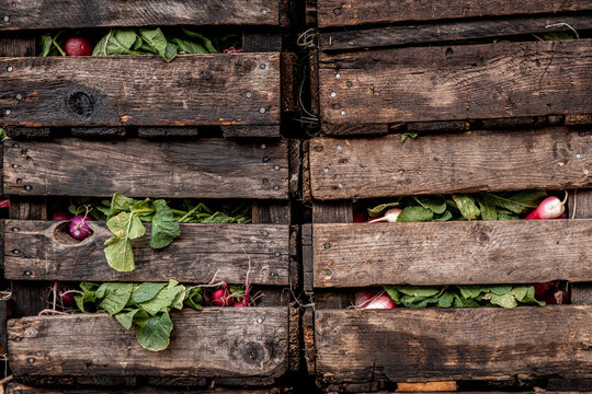 Fresh Radishes in Wooden Crates in a Market Setting