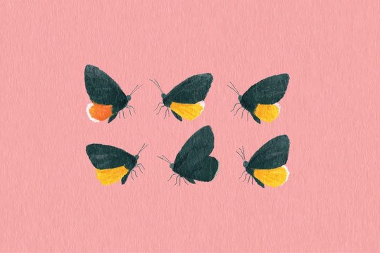 A group of six black and yellow moths on a pink background. the moths are painted in a variety of colors including black yellow and orange.