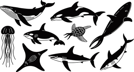 Black and white sea animals illustrations of whales orcas sharks and turtle swimming  ocean creatures © SAYEDAJANNATUL