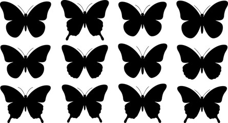 Collection of various black butterfly silhouettes on white background  insects © SAYEDAJANNATUL