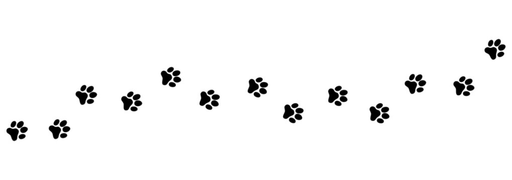 Seamless Cat and Dog Paw Print Pattern, Black Animal Footprints Vector on Transparent Background