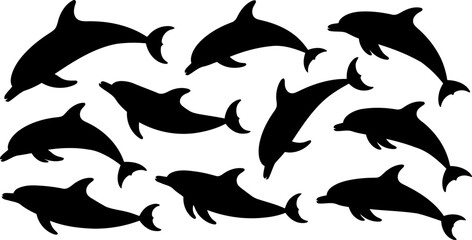 Set of dolphin silhouettes on white background  marine mammals © SAYEDAJANNATUL