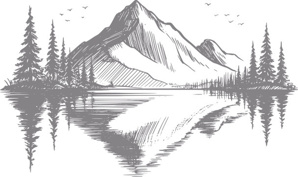 白い背景に描かれた、松の森と穏やかな湖の反射がある山の風景の手書きイラスト