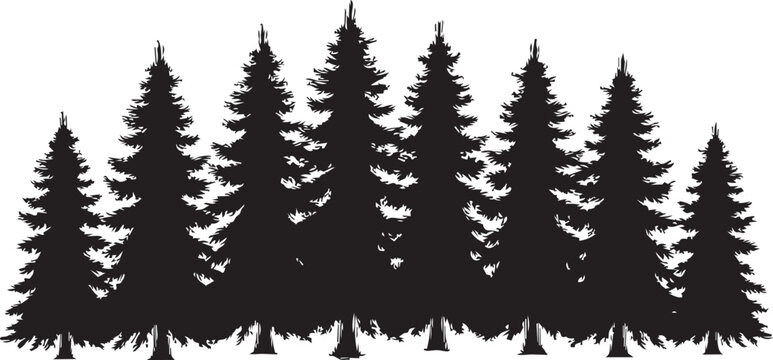 Pine trees in a row during winter with clean copy space for design