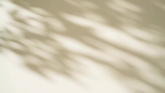 Tracking shot of moving tree leaf shadows on a beige wall in sunlight