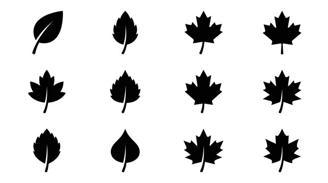 Collection of diverse black silhouette leaf icons representing various tree species.