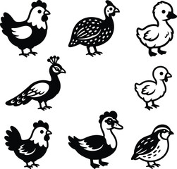 Naklejka premium A array of cute black and white stylized illustrations featuring various types of domestic birds and poultry animals.