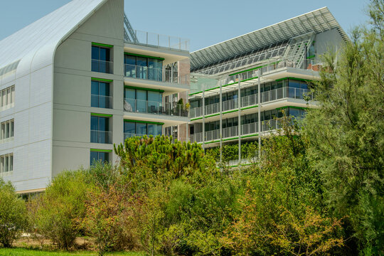 Modern Residential Complex Through Lush Greenery