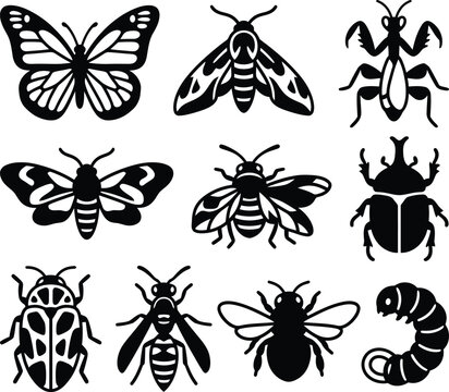 A elaborate selection of various insects including butterflies, beetles, wasps and larvae presented as black silhouettes.