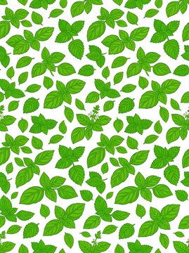 Fresh green basil leaves and herb sprigs seamless pattern