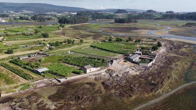 Aerial View of Albari&ntilde;o Vineyards and Agricultural Land Surrounding the Coastal Town of Cambados Galicia