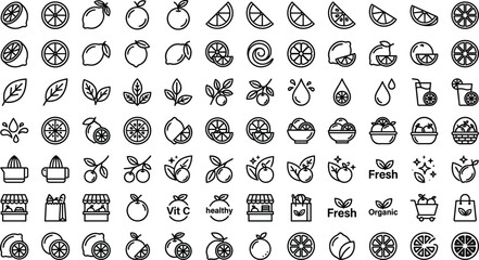 Large Vector Collection of Line Art Citrus Fruit Icons Slices Juice Drops and Fresh Mint Leaves for Organic Beverage Packaging Lemonade Branding and Cooking App Designs © MdNayeem