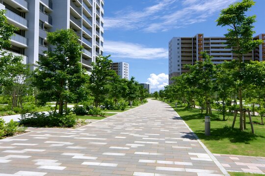 高層マンションが建ち並ぶ夏の青空と緑豊かな遊歩道