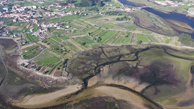 Aerial View of Albari&ntilde;o Vineyards and Agricultural Land Surrounding the Coastal Town of Cambados Galicia