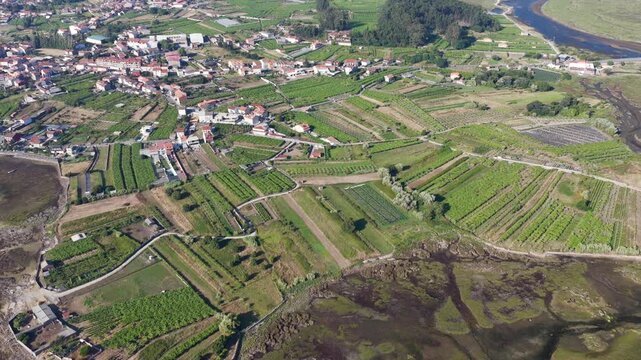 Aerial View of Albari&ntilde;o Vineyards and Agricultural Land Surrounding the Coastal Town of Cambados Galicia