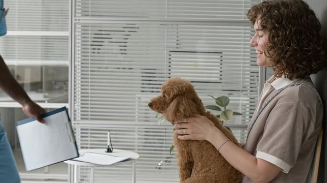 Young adult Caucasian woman holding poodle dog in veterinary clinic while middle-aged African American male vet talking and petting animal. Ideal for pet care services and veterinary clinic marketing