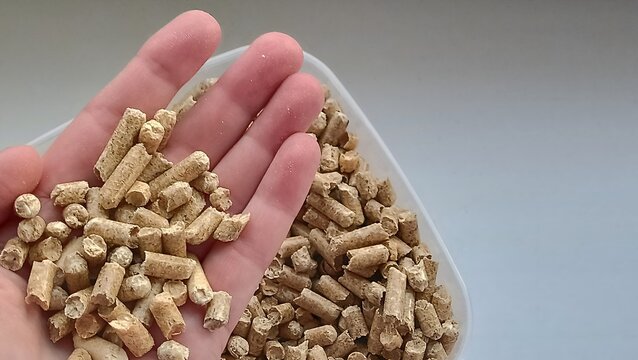 Wood pellets in hand closeup, representing rising heating costs, bio-fuel price inflation and winter energy crisis concepts.