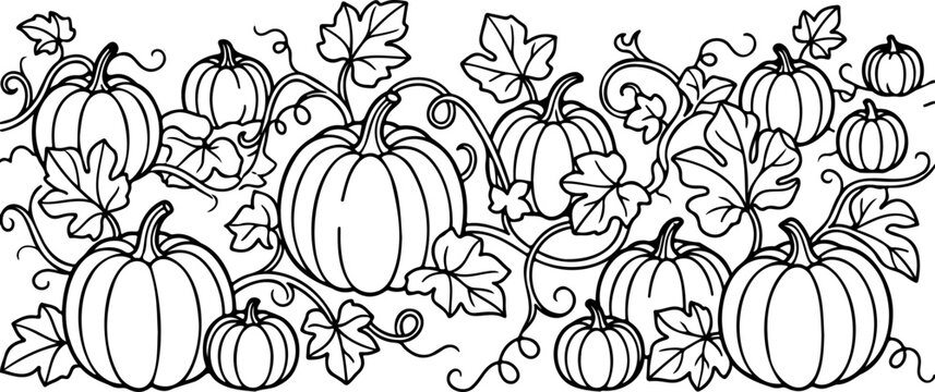Black and white pumpkin patch decorative border illustration featuring multiple gourds and tangled vine leaves for thanksgiving harvest seasonal design projects