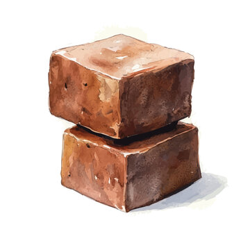 Fudge, elegant watercolor vector painting with refined details, isolated on a white background.