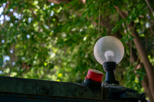 Outdoor Garden Light and Tree Foliage