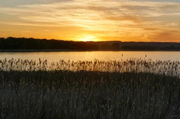 Sonnenuntergang am Bodden in Baabe auf Rügen © hespasoft