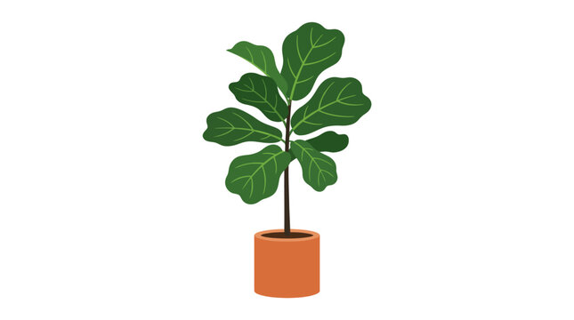 A potted plant with large green leaves sits on a surface.