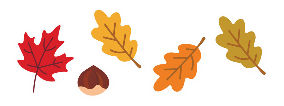 Set of autumn elements in flat vector style maple leaf, oak leaf, walnut