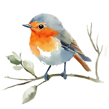 Spring Wildlife, clipart watercolor vector, isolated on a white background.