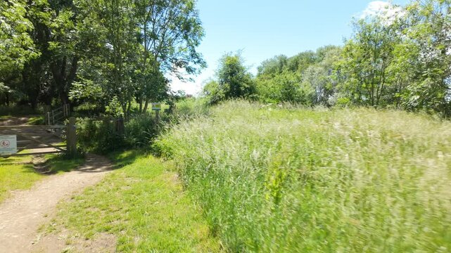 Ferry Meadows Country Park, Peterborough, Cambridgeshire, England, UK - June 09 2026: PoV, gimbal, Walking sequence - Through a gate, over a river over the river nene, and back onto a bright open path