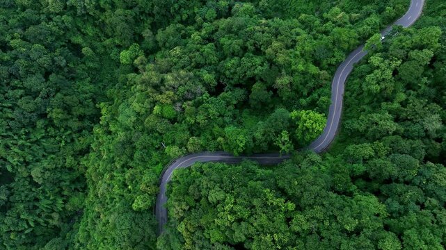 Aerial forest road with car creating abstract background for electric vehicle, ESG, sustainability and green investment business concepts.