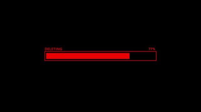 Red progress bar indicators calculate file deletion up to forty-one percent. Severe warning alerts stand out during this formatting procedure. The red progress bar moves along.