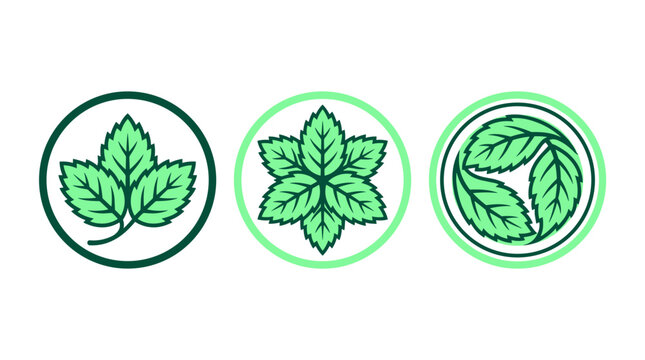Mint leaf emblem set, three circular badges with peppermint leaves flat design
