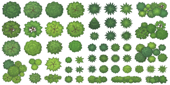 Top view collection of various green trees and bushes for architectural landscape garden design site plans