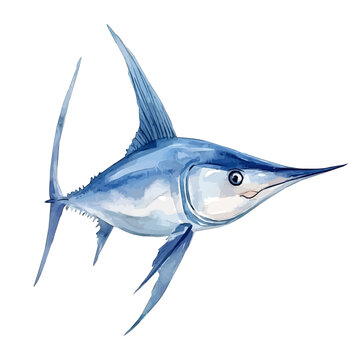 Swordfish, vector clipart in watercolor with smooth gradients, isolated on a white background.