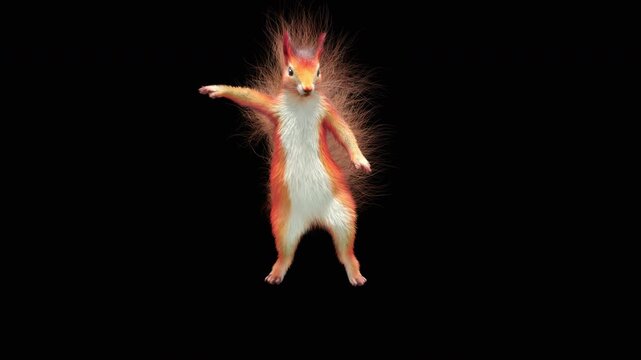 Realistic dancing squirrel performing rumba dance animation with alpha channel transparent background