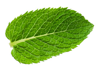 One bright mint leaf on transparent background © New Africa