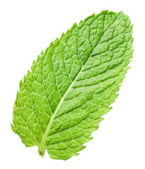One bright mint leaf on transparent background © New Africa