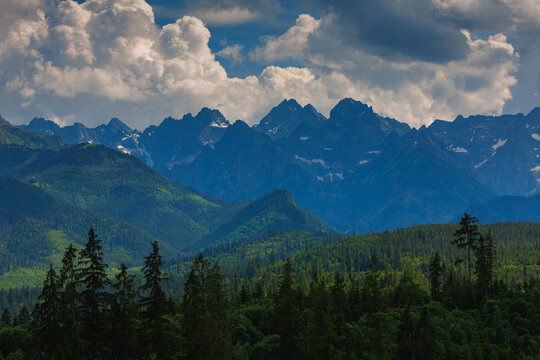 Sunlit green mountain valley with meadow, forested slopes in Zakopane Tatras mountains