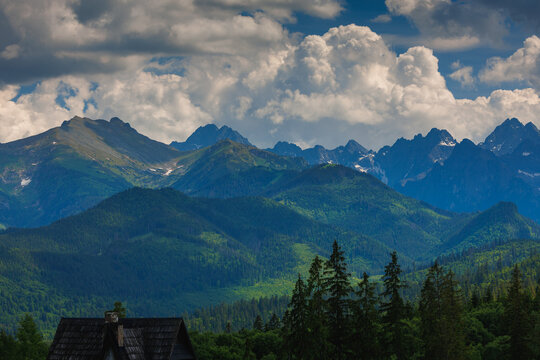 Sunlit green mountain valley with meadow, forested slopes in Zakopane Tatras mountains