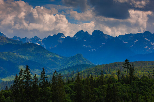 Sunlit green mountain valley with meadow, forested slopes in Zakopane Tatras mountains