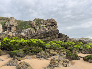 Obraz premium Rocky Atlantic coastline where low tide reveals vivid green moss-covered boulders normally hidden beneath the sea.