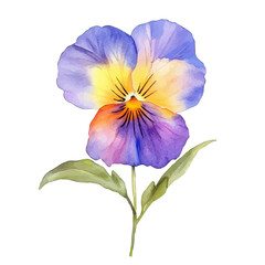 Naklejka premium Pansy Flower, watercolor vector, isolated on a white background.