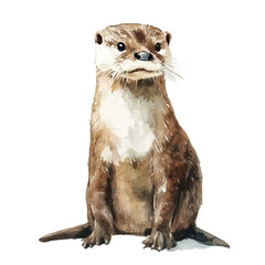 Otter, watercolor vector, isolated on a white background. © azendia
