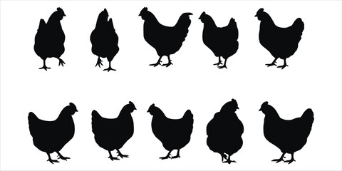 Silhouette of Ten Chickens in Different Poses,Silhouette of Ten Chickens in Different Poses,Ten black silhouette chickens are © mstharisa