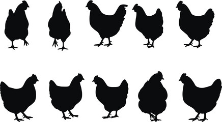 Silhouette of Ten Chickens in Different Poses,Silhouette of Ten Chickens in Different Poses,Ten black silhouette chickens are © mstharisa