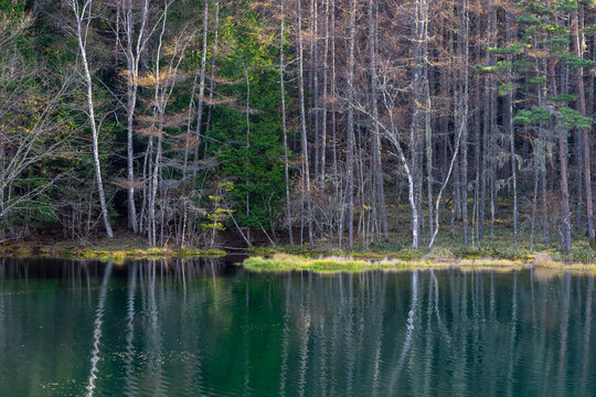 Mishaka Pond, Chino, Nagano Prefecture, Japan