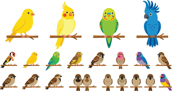 Exotic Pet Birds Vector Icon Set with Cockatiel Budgie Parakeet Finch Canary and Sparrows Sitting on Branches for Wildlife Graphic Design Elements