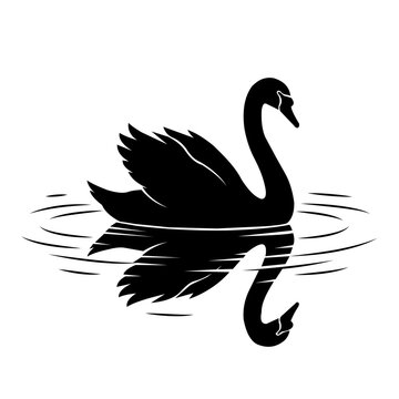 Black Swan Silhouette with Water Reflection Vector Illustration.  Resizable and editable, EPS 10.