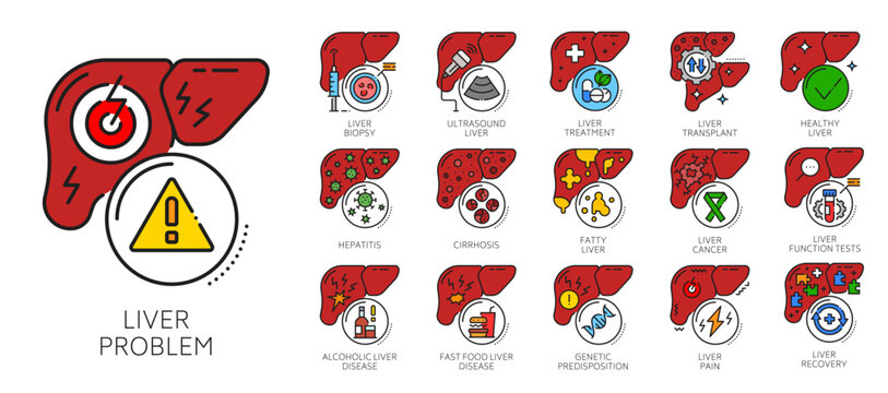 Line icons of chronic liver diseases and therapy. Medical problem symbol, liver health sign. Gastrointestinal medicine outline icons set with hepatitis, cirrhosis and cancer, alcoholic diseases