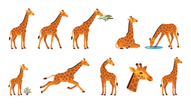 Cute cartoon giraffes in various poses and activities showcasing their natural behaviors and playful expressions in a vibrant illustration set.
